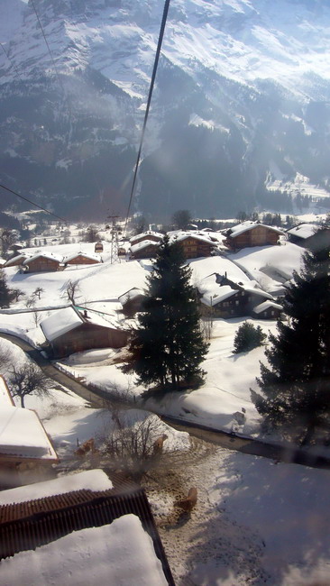 31. März 2009
