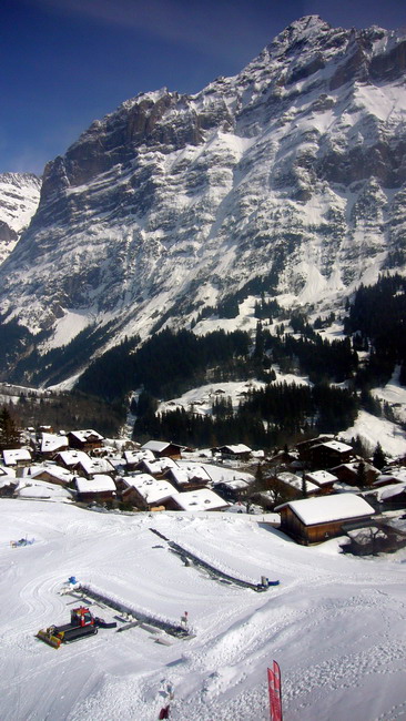 31. März 2009
