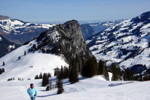 17. März 2009
