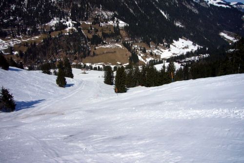 17. März 2009
