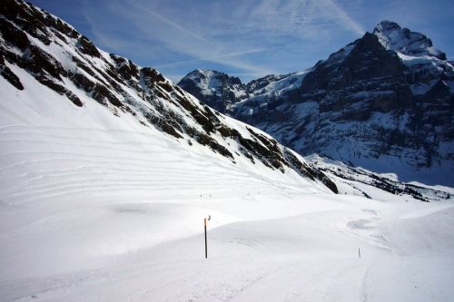 18. März 2009
