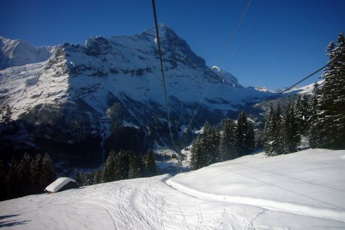 31. März 2009

