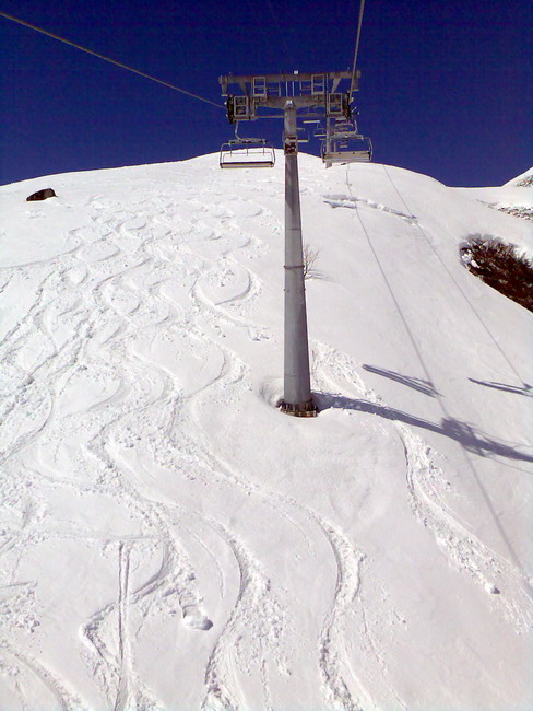 17. April 2009
