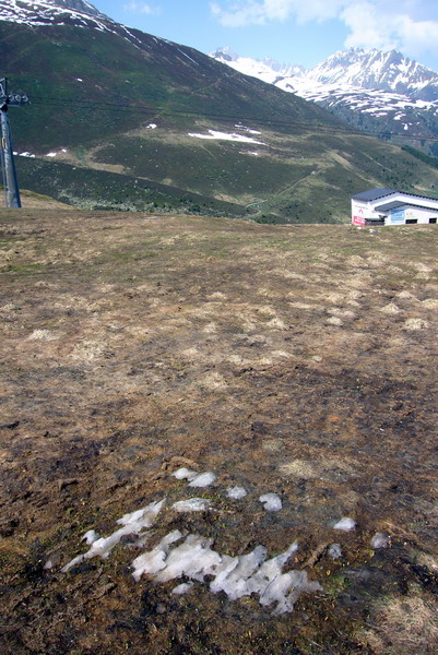 25. Mai 2009
