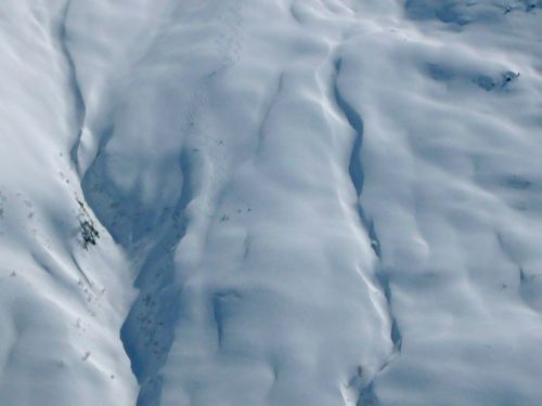Tourenfahrer am Piz Maler
