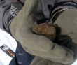 20090410-sedrun-094.jpg
