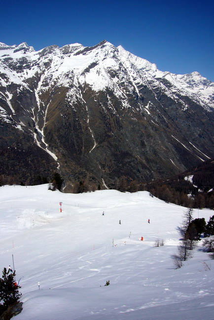 23. April 2009
