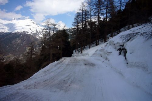 20090423-zermatt-0438.jpg