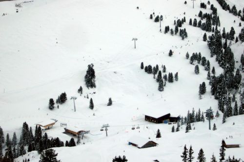 Arvengarten
