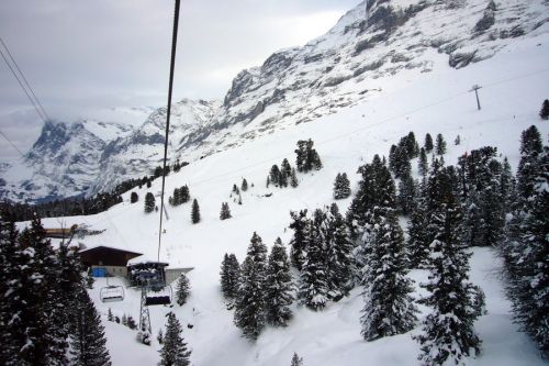 5. Dezember 2009
