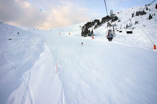 5. Dezember 2009
