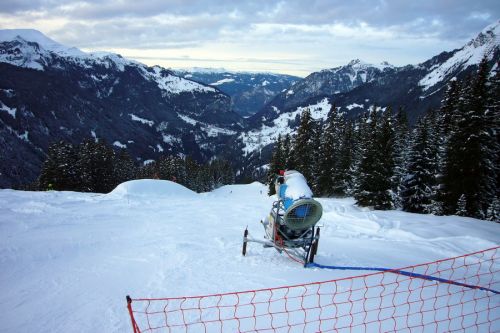 5. Dezember 2009
