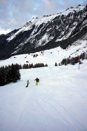 5. Dezember 2009
