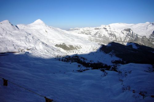 14. Dezember 2009
