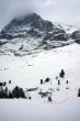 Dateiname=20091205-wengen-0362.jpg
Dateigröße=133KB
Abmessungen: 534x800
hinzugefügt am: 05. Dezember 2009 20091205-wengen-0362.jpg