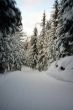 Dateiname=20091205-wengen-0423.jpg
Dateigröße=123KB
Abmessungen: 534x800
hinzugefügt am: 05. Dezember 2009 20091205-wengen-0423.jpg