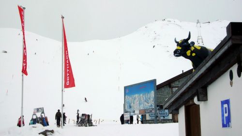 30. Dezember 2009
