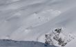 20100103-sedrun-0896.jpg