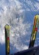 20100110-sedrun-10969.jpg