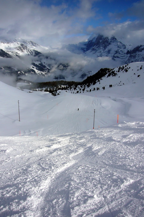 17. Januar 2010
