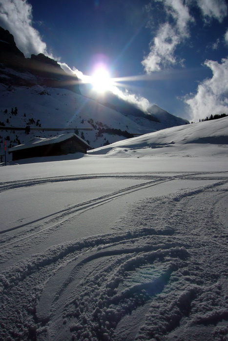 17. Januar 2010
