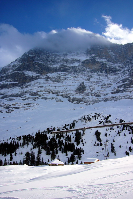17. Januar 2010
