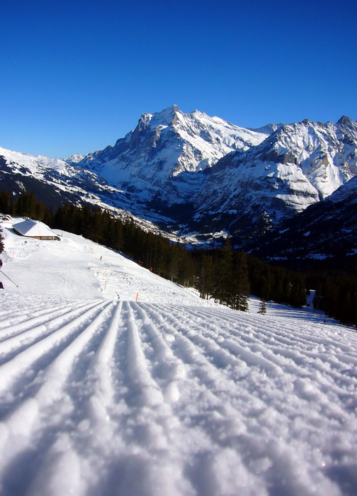 18. Januar 2010
