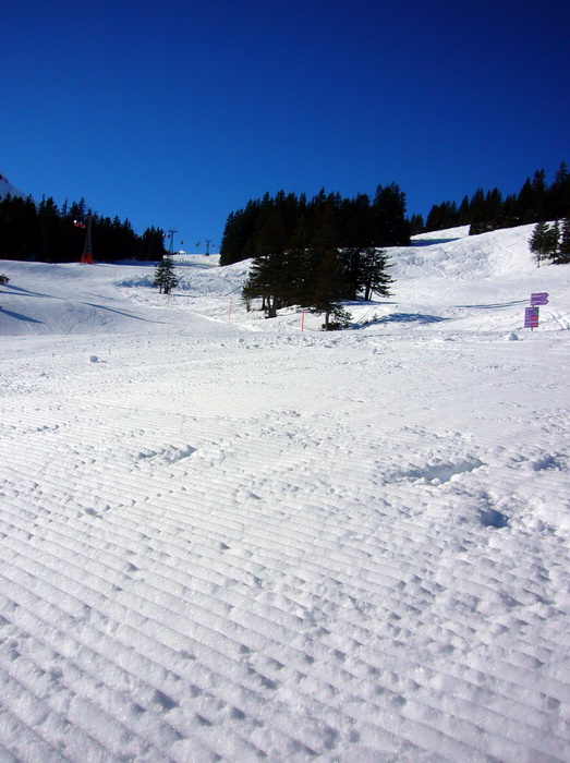 18. Januar 2010
