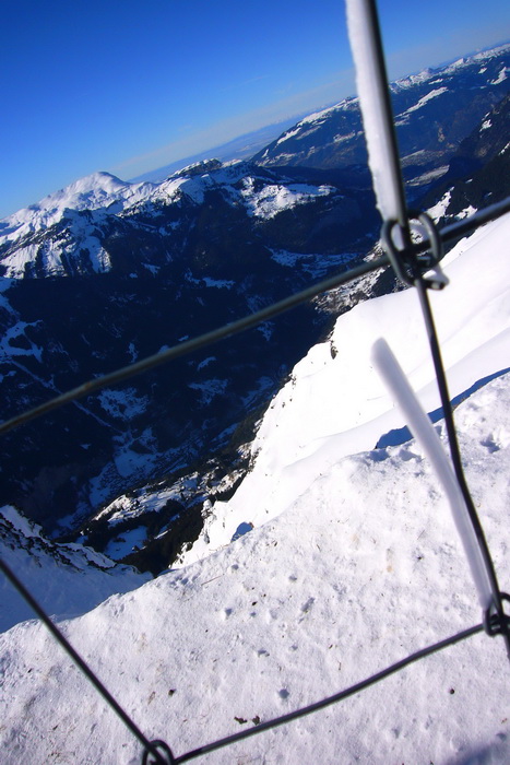 18. Januar 2010
