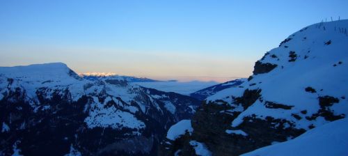 16. Januar 2010
