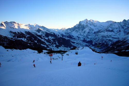 16. Januar 2010
