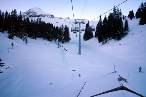 16. Januar 2010
