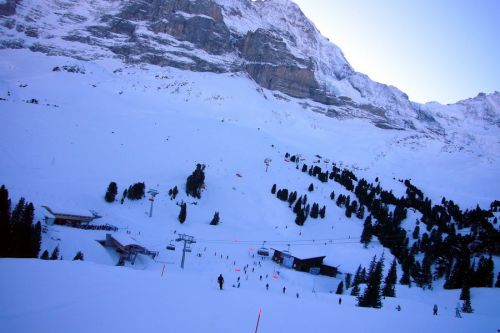 16. Januar 2010
