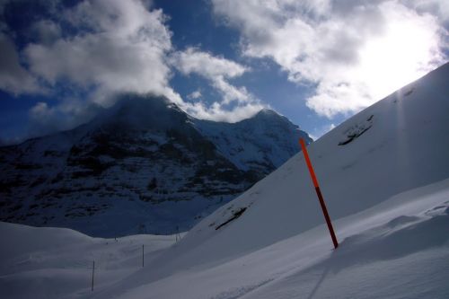 17. Januar 2010
