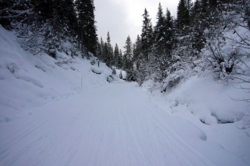 17. Januar 2010
