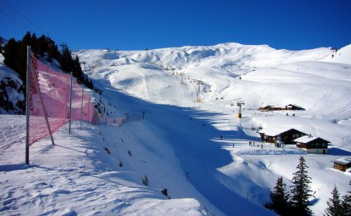 18. Januar 2010

