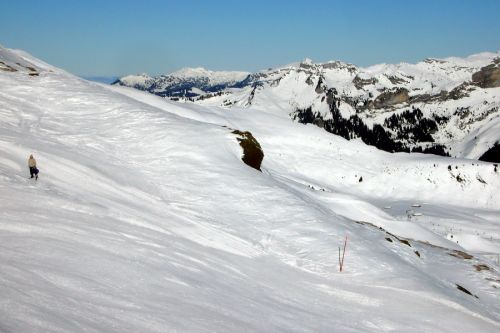 19. Januar 2010
