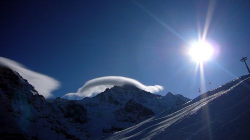 19. Januar 2010

