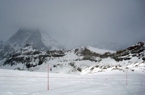 26. Januar 2010
