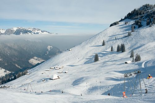 27. Januar 2010
