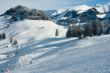 20100127-wiriehorn-8272.jpg