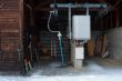 20100127-wiriehorn-8279.jpg