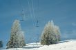 20100127-wiriehorn-8281.jpg