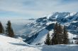 20100127-wiriehorn-8300.jpg