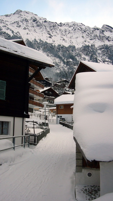 Wengen, 31. Januar 2010 - es hat geschneit, der Wetterbericht meldet einen sonnigen Sonntag...
