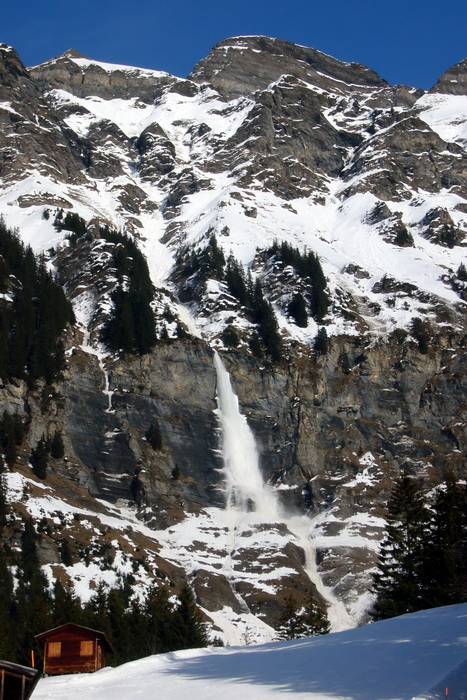 19. März 2010
