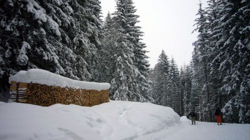 Talabfahrt nach Wengen, 31. Januar 2010 - [url=http://www.youtube.com/watch?v=J3_EbI59r0Q]Video vom Montag, 1. Februar, hier![/url] Endlich mit Sonne...
