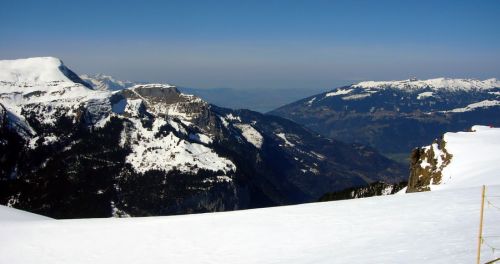 19. März 2010
