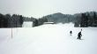 20100131-wengen-0258.jpg