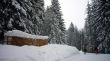 20100131-wengen-0267.jpg